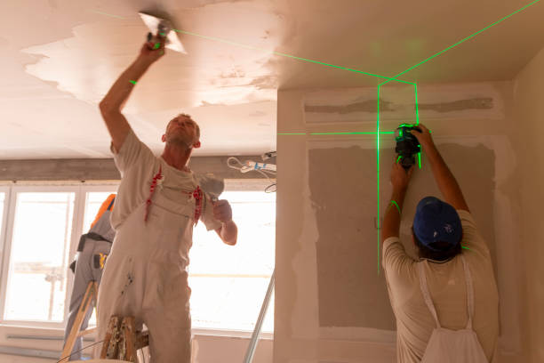Best Attic Mold Removal  in Luxora, AR